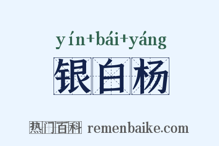 银白杨是什么意思的图片